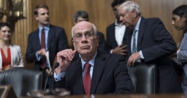 Democrat Senator Gets Roasted on Live TV With Perfect Term for Schumer Shutdown Tactics – RedState