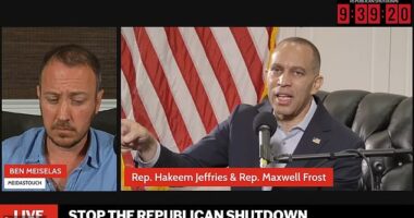The Democrat party was roasted after hosting a shutdown livestream starring Hakeem Jeffries (pictured right) that only draw a few dozens viewers at a time - as Donald Trump continued to troll liberal leaders