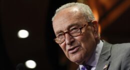 Dems Get Very Bad News on Schumer Shutdown From NYT/Siena Poll – HotAir