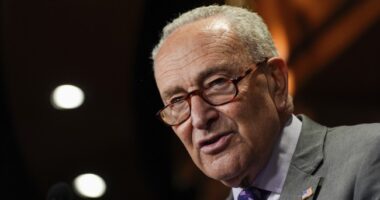 Dems Get Very Bad News on Schumer Shutdown From NYT/Siena Poll – HotAir