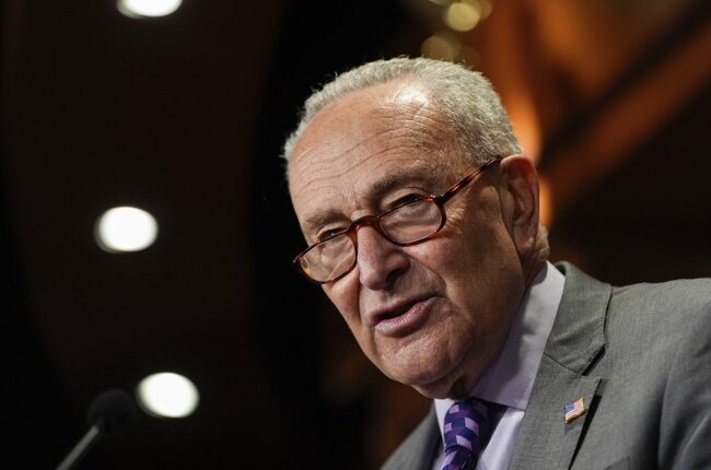 Dems Get Very Bad News on Schumer Shutdown From NYT/Siena Poll – HotAir