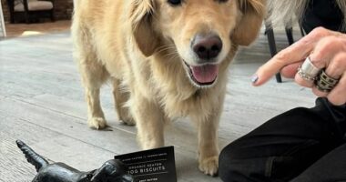 Diane Keaton is seen above in her last photo shared to Instagram on April 11