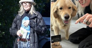 Diane Keaton looked healthy in last Instagram photo before her death