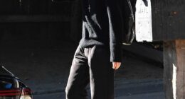 Diane Keaton's grieving son Duke was seen for the first time after his mother's death as he left the late actress' LA home on Sunday, dressed all in black