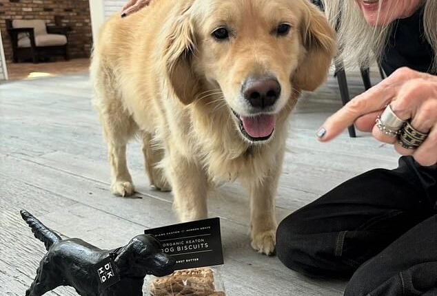 Accompanied by her beloved dog Reggie, Diane Keaton showed no sign of ill health as she promoted National Pet Day with Instagram followers in April