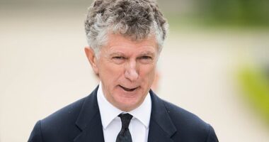 Jonathan Powell is reported to have made clear that the government would classify Beijing as a 'challenge' rather than an 'enemy' of the UK in evidence for the case