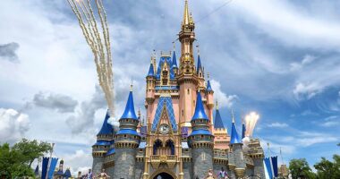 The It's a Small World attraction at Disney is often viewed as a family-friendly boat ride designed to showcase different cultures from around the world (stock image)