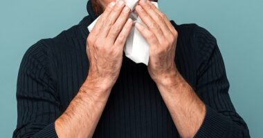 Winter hay fever, also known as allergic rhinitis, is triggered by hidden allergens inside the home (picture posed by model)