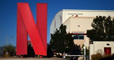 Does Elon Musk’s call for a Netflix boycott signal a new front in the culture wars?