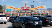 Does Six Flags need more live events with celebrities? Travis Kelce could be the first step to getting there.