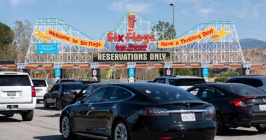 Does Six Flags need more live events with celebrities? Travis Kelce could be the first step to getting there.