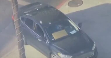 A message on a cardboard sign displayed inside the window of the vehicle referenced Donald Trump