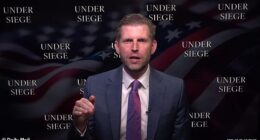 Eric Trump told the Daily Mail that political enemies are trying to divide President Donald Trump's family