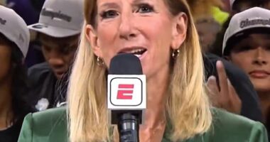 Several fans in Phoenix were seen giving the finger as Cathy Engelbert addressed the crowd