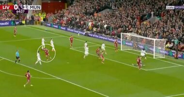 Jones was seen celebrating before Salah had even connected with - and missed - the shot