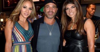 Everything Teresa Giudice, Melissa and Joe Gorga have said about reconciling amid 'RHONJ' feud 