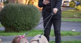 Benrahma is pictured with his dogs Ghost and Cali in an image he shared on Instagram