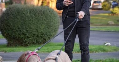 Benrahma is pictured with his dogs Ghost and Cali in an image he shared on Instagram