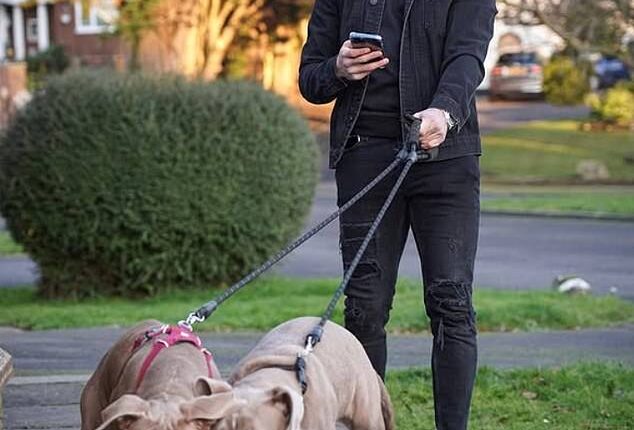 Benrahma is pictured with his dogs Ghost and Cali in an image he shared on Instagram