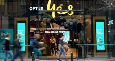 Optus was required by regulation to notify the Department of Communications about the emergency call outage, which was linked to three deaths, on Thursday September 18 (stock image)