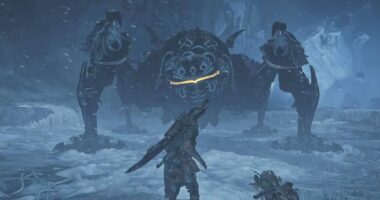 Fabius Support Hunter Returns for Dreamspell Festival