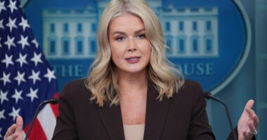 White House Press Secretary Karoline Leavitt delivered a stark warning Monday: Another failed vote in the Senate to end the government shutdown means federal workers will go without paychecks later this week.