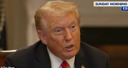 Donald Trump doubled down on his claim that his 2016 presidential campaign was spied on