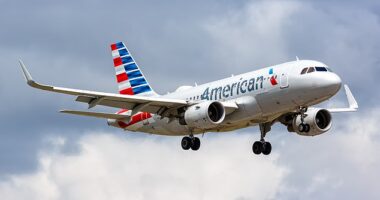 An American Airlines flight was forced to make an emergency landing in Los Angeles after passengers reported feeling sick from an odour that had filled the aircraft