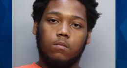 Florida Man Films Himself Sexually Abusing Infant Girl: Police