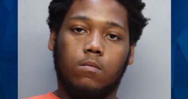 Florida Man Films Himself Sexually Abusing Infant Girl: Police