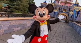 While getting to portray a character at a Disney theme park may seem like a dream come true to some, an alleged new document has seemingly revealed how hard the job is (stock image)
