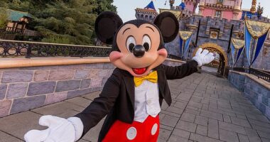 While getting to portray a character at a Disney theme park may seem like a dream come true to some, an alleged new document has seemingly revealed how hard the job is (stock image)