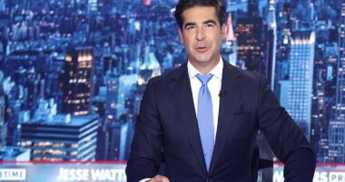 Jesse Watters admitted his notoriously liberal mom joined the demonstrators at Saturday's anti-Trump 'No Kings' rally