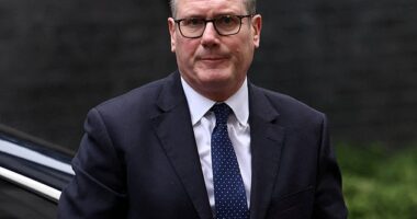 It is the latest blow to Sir Keir Starmer following his announcement last month that the new ID system would be introduced in 2029