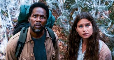 From Creators Dismiss Major Theories About Show's Mysteries
