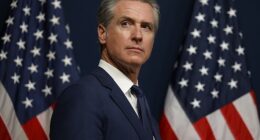 Gavin Newsom continued his feud with Donald Trump after it was revealed the airport in Burbank, California went over six hours without air traffic controllers
