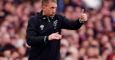 Graham Potter has been appointed as Sweden's manager on a short-term basis until March 2026