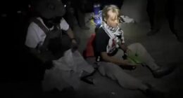 Greta Thunberg has been hauled off her 'Freedom Flotilla' by Israel naval forces as it neared the besieged Gaza Strip