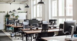 H-1B work visas might be worth $100,000 — but American companies will pay a price