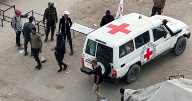 Hamas returns all living Israeli hostages from Gaza as Trump meets their families on historic day: Live updates