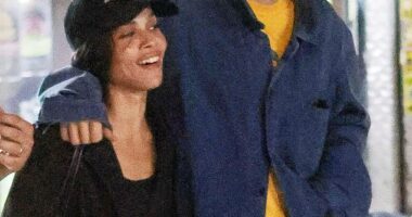 Harry Styles and Zoe Kravitz have reportedly taken a major step in their relationship as pals close to the pair have claimed the couple are 'barely apart' (pictured together last month)