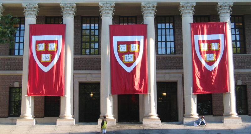 Harvard Professor Leads Double Life as Drag Queen 'LaWhore Vagistan.'