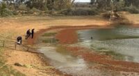 Police have declared that the search for a four-year-old boy missing in the South Australian outback is now in the 'recovery phase,' as rescuers hold little hope of finding him alive.