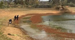 Police have declared that the search for a four-year-old boy missing in the South Australian outback is now in the 'recovery phase,' as rescuers hold little hope of finding him alive.