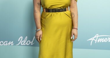 Former American Idol contestant Julia Gagnon, shared the journey of finding her long lost brother on social media and has now been reunited with him