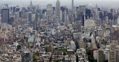 Heckled as Communist, Chased From Store as Anti-Semite, Wife Mourning Mr FAFO – HotAir