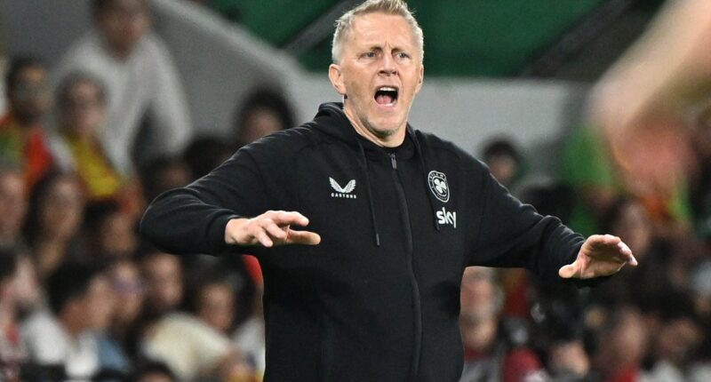 Heimir Hallgrimsson left heartbroken as Ireland concede late Portugal winner