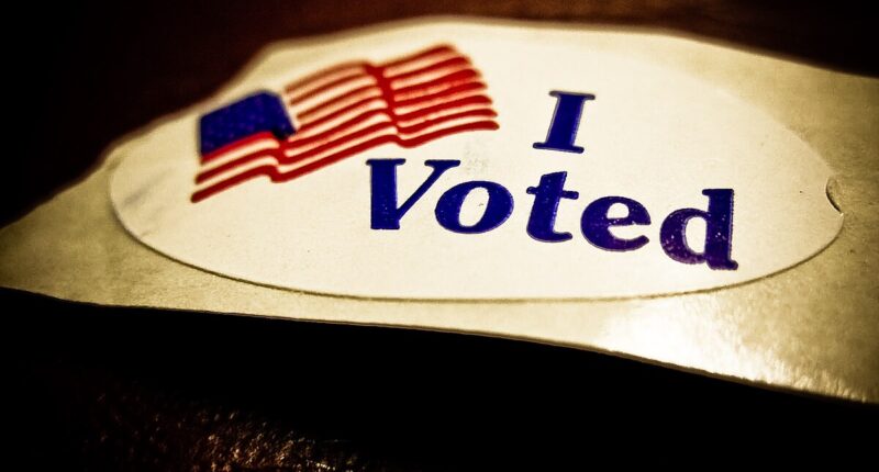 Here Are The Biggest 2025 Races And Ballot Measures