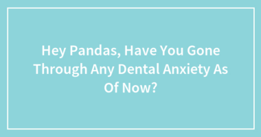 Hey Pandas, Have You Gone Through Any Dental Anxiety As Of Now?