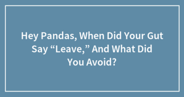 Hey Pandas, When Did Your Gut Say “Leave,” And What Did You Avoid?